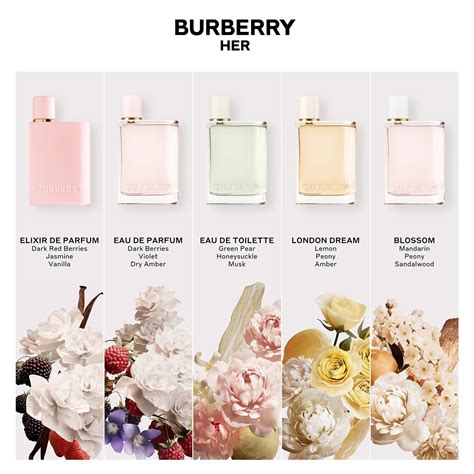 burberry her london dream hair mist|burberry eau de parfum.